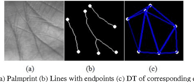 Figure 3 for On Feature based Delaunay Triangulation for Palmprint Recognition
