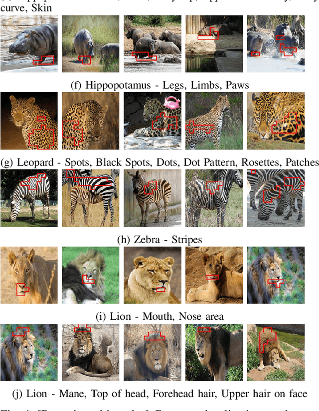 Figure 4 for PACE: Posthoc Architecture-Agnostic Concept Extractor for Explaining CNNs