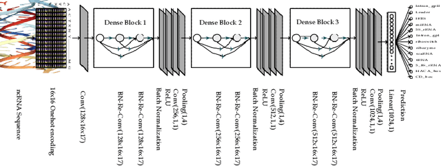 Figure 4 for A Robust and Precise ConvNet for small non-coding RNA classification
