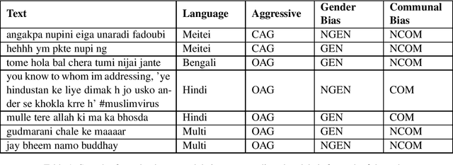 Figure 1 for Hypers at ComMA@ICON: Modelling Aggressiveness, Gender Bias and Communal Bias Identification