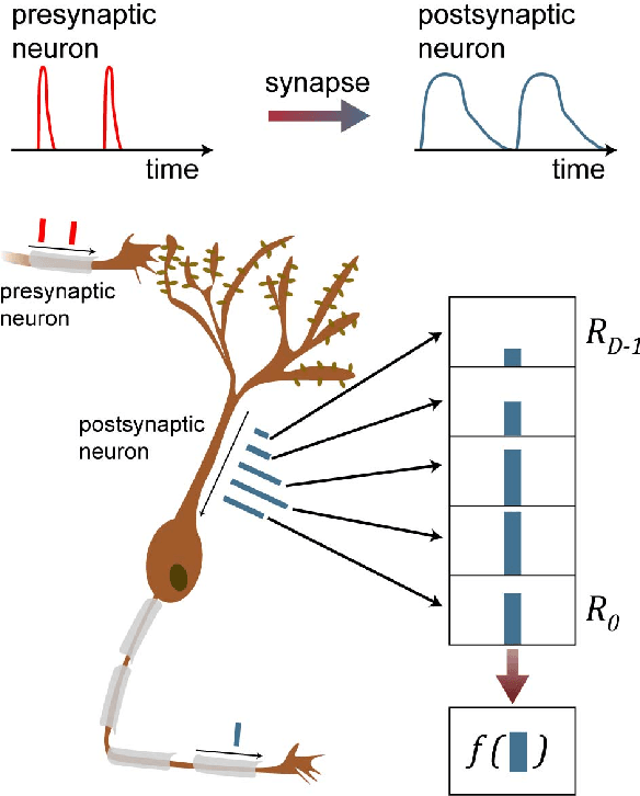 Figure 2 for A Digital Neuromorphic Architecture Efficiently Facilitating Complex Synaptic Response Functions Applied to Liquid State Machines