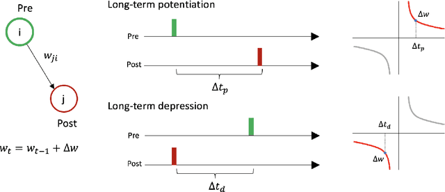 Figure 2 for Reactive, Proactive, and Inductive Agents: An evolutionary path for biological and artificial spiking networks