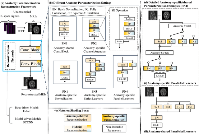 Figure 2 for Seeking Common Ground While Reserving Differences: Multiple Anatomy Collaborative Framework for Undersampled MRI Reconstruction