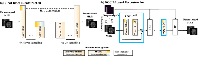 Figure 3 for Seeking Common Ground While Reserving Differences: Multiple Anatomy Collaborative Framework for Undersampled MRI Reconstruction