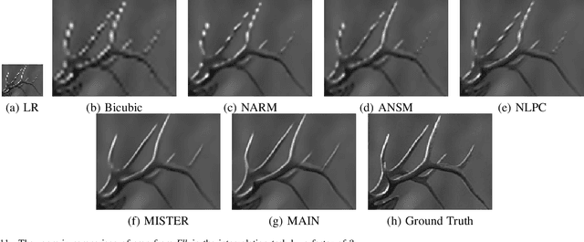 Figure 3 for Manifold-Inspired Single Image Interpolation