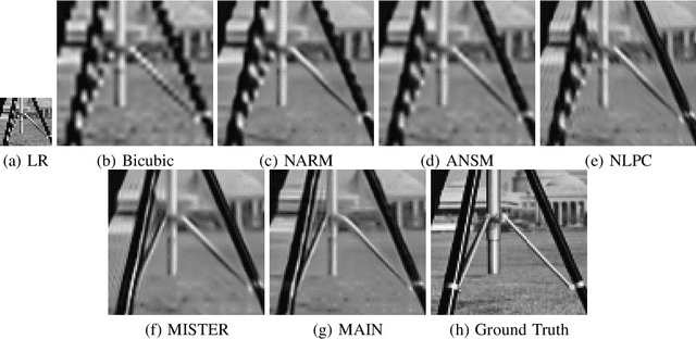 Figure 4 for Manifold-Inspired Single Image Interpolation