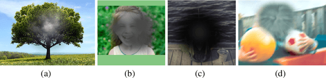 Figure 2 for A Parametric Perceptual Deficit Modeling and Diagnostics Framework for Retina Damage using Mixed Reality