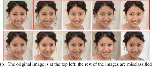 Figure 1 for Robust Training Using Natural Transformation