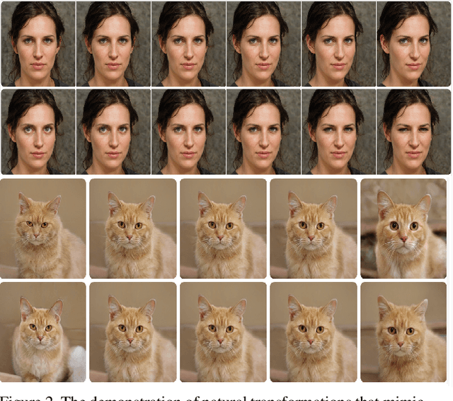 Figure 3 for Robust Training Using Natural Transformation