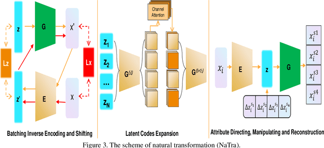 Figure 4 for Robust Training Using Natural Transformation