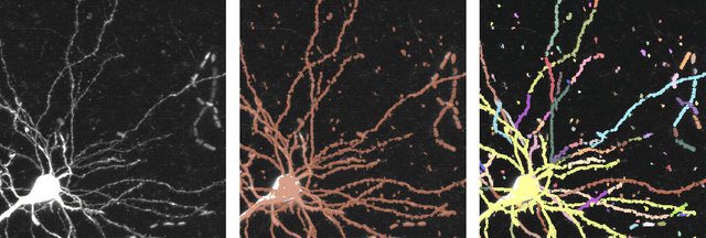 Figure 1 for Hidden Markov Modeling for Maximum Likelihood Neuron Reconstruction