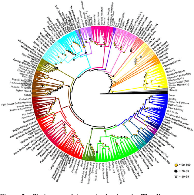 Figure 2 for BARC: Learning to Regress 3D Dog Shape from Images by Exploiting Breed Information