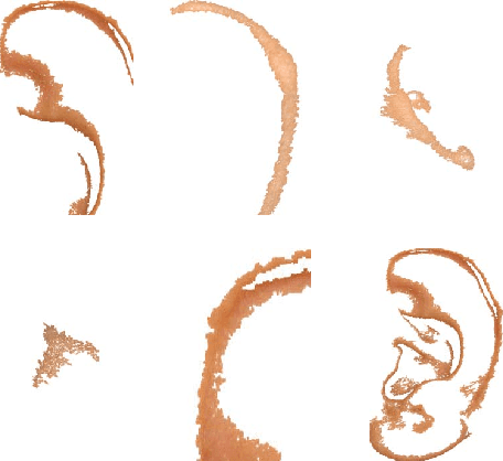 Figure 2 for SIFT-based Ear Recognition by Fusion of Detected Keypoints from Color Similarity Slice Regions