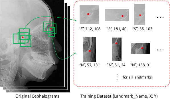 Figure 2 for Deep Learning based Cephalometric Landmark Identification using Landmark-dependent Multi-scale Patches
