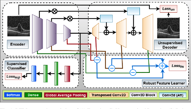 Figure 1 for Feature Representation Learning for Robust Retinal Disease Detection from Optical Coherence Tomography Images