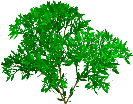 Figure 1 for New Techniques for Inferring L-Systems Using Genetic Algorithm