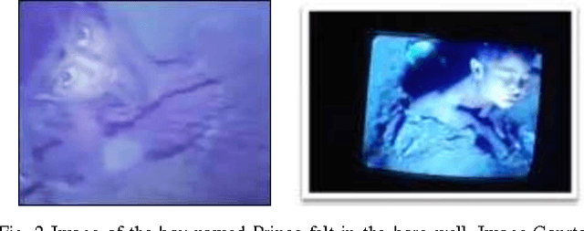 Figure 2 for Rescue Robotics in Bore well Environment