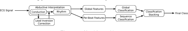 Figure 1 for Abductive reasoning as the basis to reproduce expert criteria in ECG Atrial Fibrillation identification