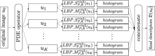 Figure 1 for An application of a pseudo-parabolic modeling to texture image recognition