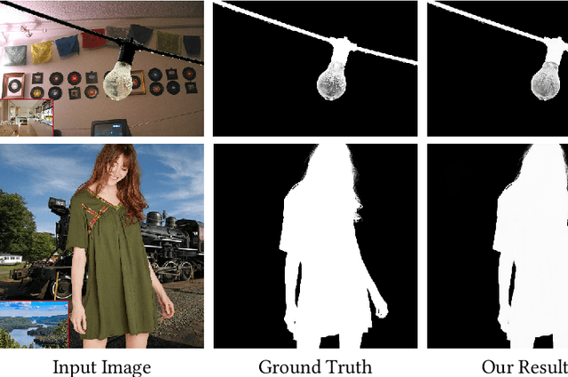 Figure 1 for Hierarchical and Progressive Image Matting