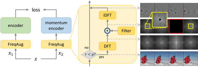 Figure 3 for Spatiotemporal Augmentation on Selective Frequencies for Video Representation Learning