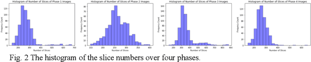 Figure 2 for Dual-Attention Enhanced BDense-UNet for Liver Lesion Segmentation