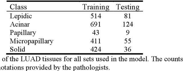 Figure 4 for Resolution-Based Distillation for Efficient Histology Image Classification