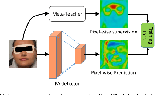 Figure 3 for Meta-Teacher For Face Anti-Spoofing
