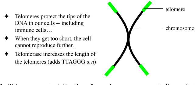 Figure 1 for Modelling Immunological Memory