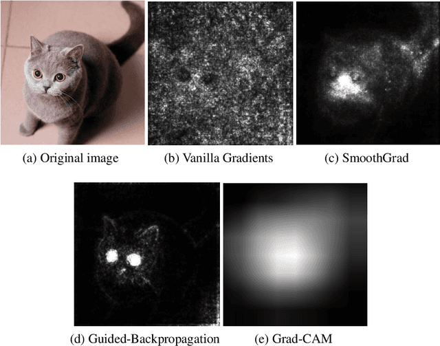 Figure 1 for Crowdsourcing Evaluation of Saliency-based XAI Methods