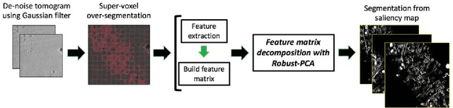 Figure 2 for Feature Decomposition Based Saliency Detection in Electron Cryo-Tomograms