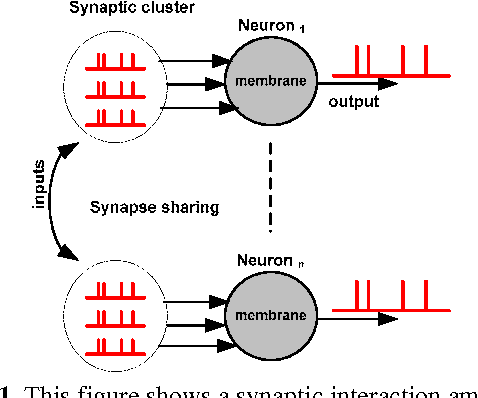 Figure 1 for Hardware/Software Co-Design for Spike Based Recognition