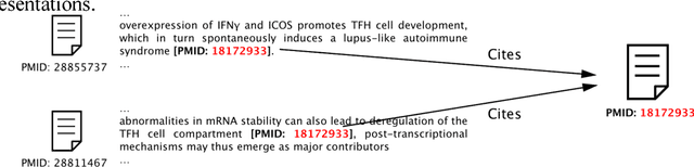 Figure 1 for Understanding the Changing Roles of Scientific Publications via Citation Embeddings