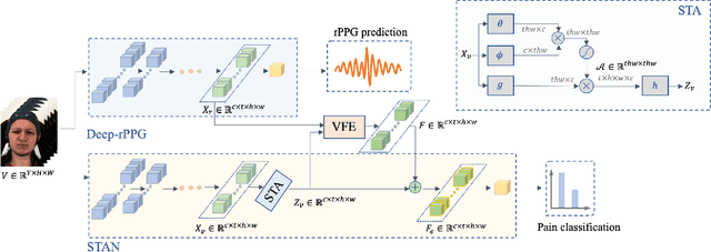 Figure 1 for Non-contact Pain Recognition from Video Sequences with Remote Physiological Measurements Prediction