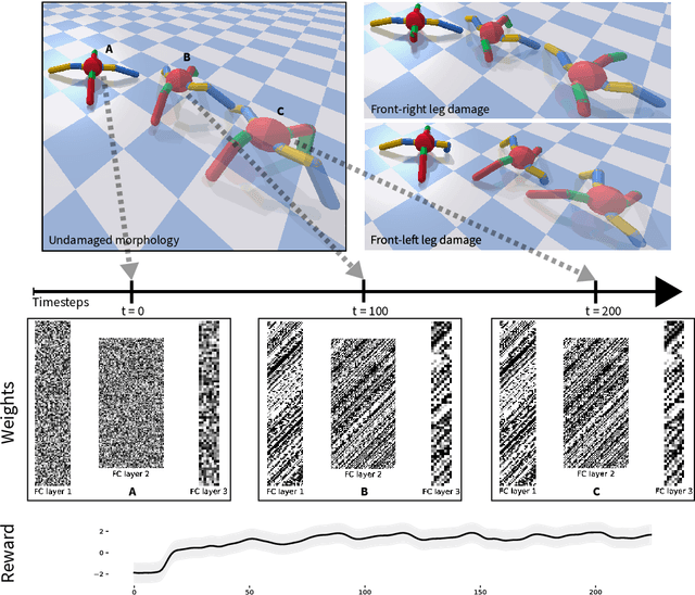 Figure 1 for Meta-Learning through Hebbian Plasticity in Random Networks
