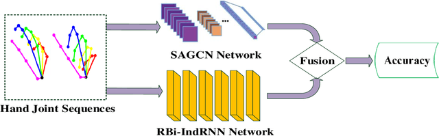 Figure 1 for A Two-stream Neural Network for Pose-based Hand Gesture Recognition