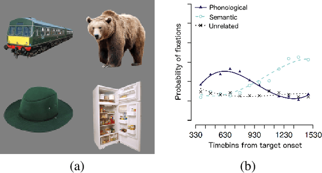 Figure 1 for A Neural Network Model of Lexical Competition during Infant Spoken Word Recognition