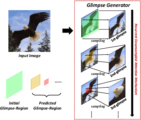 Figure 1 for Multi-Glimpse Network: A Robust and Efficient Classification Architecture based on Recurrent Downsampled Attention