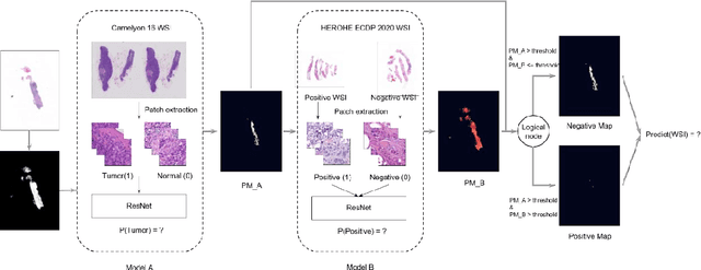 Figure 1 for HEROHE Challenge: assessing HER2 status in breast cancer without immunohistochemistry or in situ hybridization
