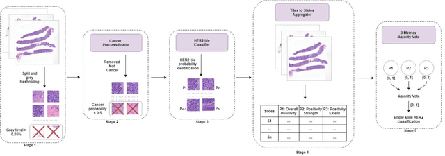 Figure 3 for HEROHE Challenge: assessing HER2 status in breast cancer without immunohistochemistry or in situ hybridization