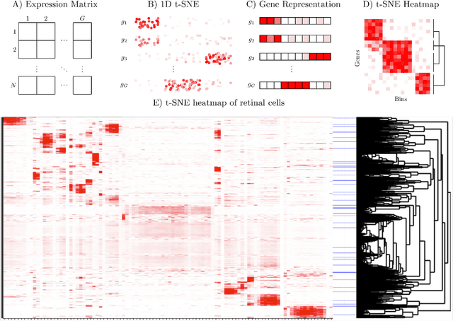 Figure 3 for Efficient Algorithms for t-distributed Stochastic Neighborhood Embedding