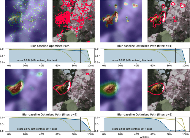 Figure 4 for Ablation Path Saliency