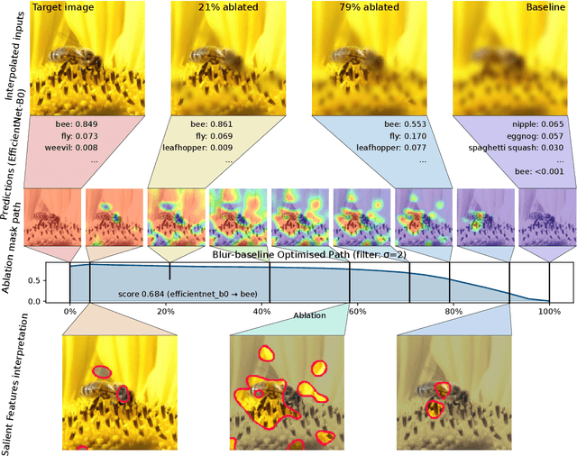 Figure 1 for Ablation Path Saliency