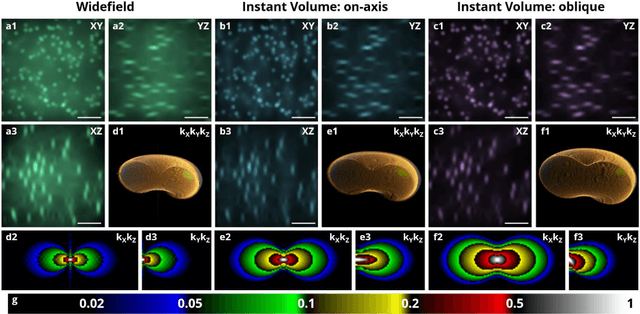 Figure 3 for Multifocus microscopy with optically sectioned axial superresolution