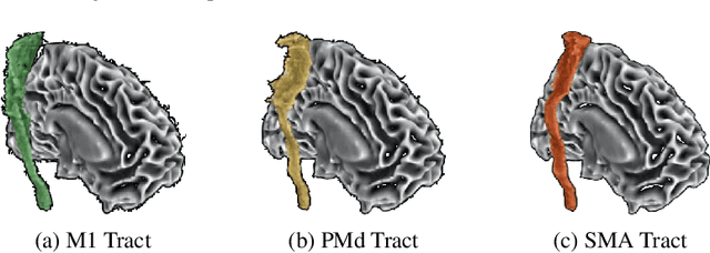 Figure 3 for MVC-Net: A Convolutional Neural Network Architecture for Manifold-Valued Images With Applications