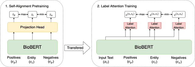 Figure 2 for OSLAT: Open Set Label Attention Transformer for Medical Entity Span Extraction