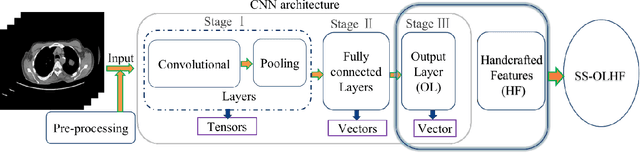 Figure 1 for Predicting Lung Nodule Malignancies by Combining Deep Convolutional Neural Network and Handcrafted Features