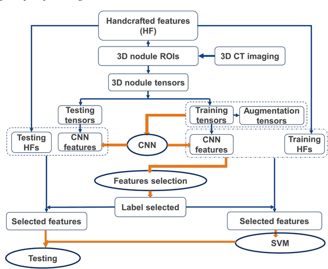 Figure 2 for Predicting Lung Nodule Malignancies by Combining Deep Convolutional Neural Network and Handcrafted Features