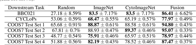 Figure 3 for CytoImageNet: A large-scale pretraining dataset for bioimage transfer learning