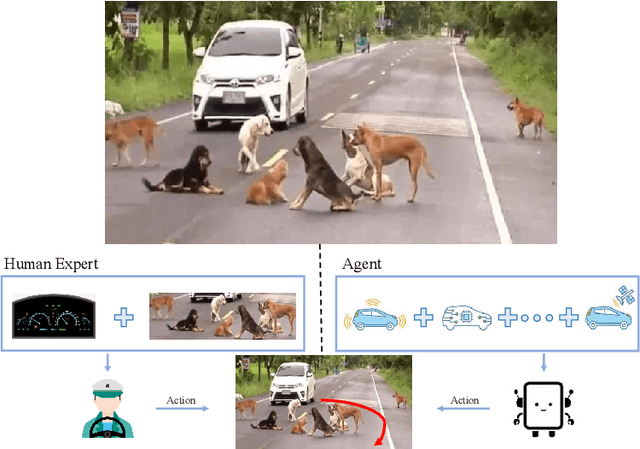 Figure 1 for Seeing Differently, Acting Similarly: Imitation Learning with Heterogeneous Observations